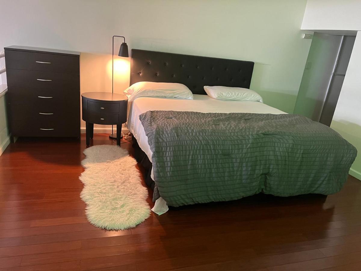 Full Loft-style Near Omni * New Haven